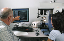 Trainer and two students in a laboratory environment