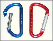 Two carabiners