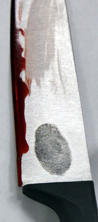 a knife, as an item of evidence in a crime, displaying blood on the edge and a fingerprint on the blade.