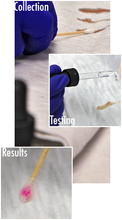 composite image. image one: bloodstain on tee shirt being swabed. image two: liquid being dropped from eyedropper onto swab tip. image three: swab tip showing color change to pink indicating positive test results for human blood.