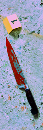 a bloody knife, which is an example of priority evidence from a violent crime scene.