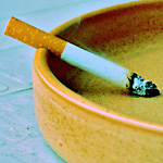cigarette butt, which is a possible source of DNA evidence