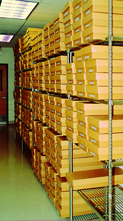 an evidence storage room in a DNA laboratory with many boxes stacked on shelves up to the ceiling.