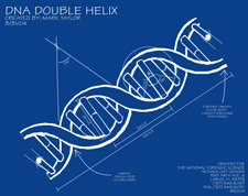 Image of a blueprint of the Double Helix