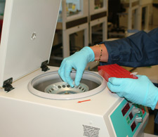Image of Laboratory equipment being used  
