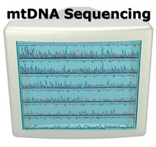 Image of computer screen sequencing mtDNA