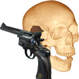 Human skull and revolver