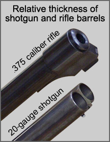 Comparison of relative thickness of 20-guage shotgun and .375 caliber rifle barrels