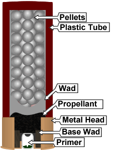 shotgun shell with labeled components: pellets, plastic tube, wad, propellant, metal head, base wad, and primer