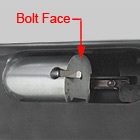 Boltface and Extractor