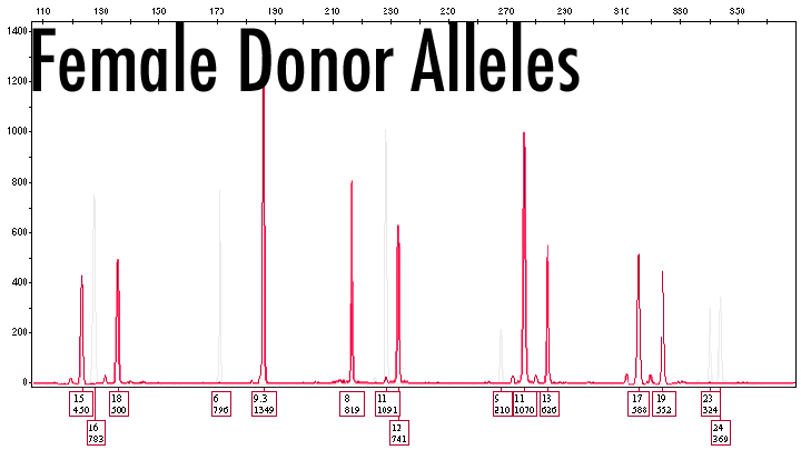diagram of 3 loci on DNA profile showing female donor alleles.