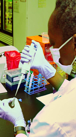 DNA technician in a laboratory transferring biological material from one test tube to another.