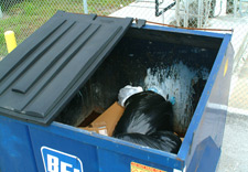 Imagen de un basurero
