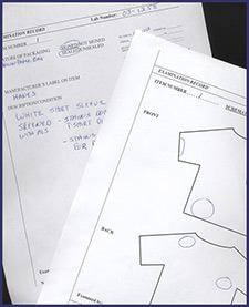 Imagen de formularios de presentacin de evidencias, mostrando las ubicaciones de las manchas