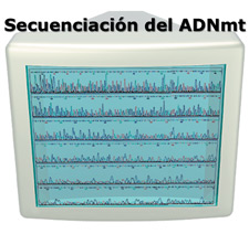 Imagen de una pantalla de computadora secuenciando ADNmt