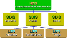 Imagen de sistemas CODIS