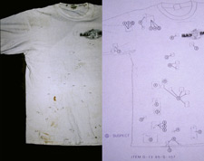 Image of a t-shirt containing biological materials.