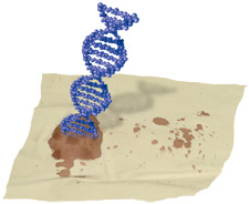 Image of DNA being extracted
