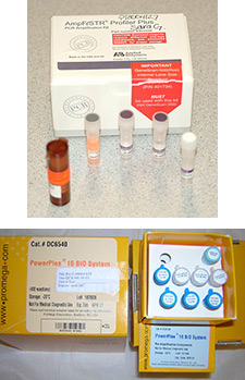 Image of Profiler Plus and PowerPlex 16 DNA detection kits