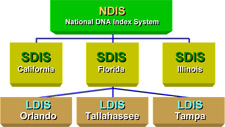 Image of CODIS systems