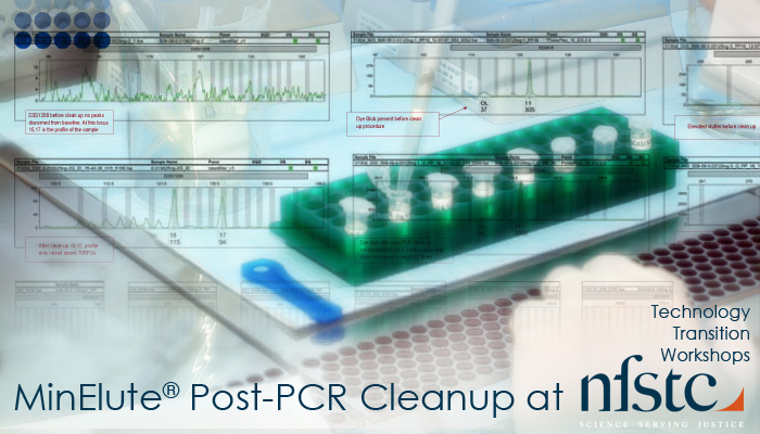 MinElute® Post-PCR Cleanup Workshop at the National Forensic Science Technology Center